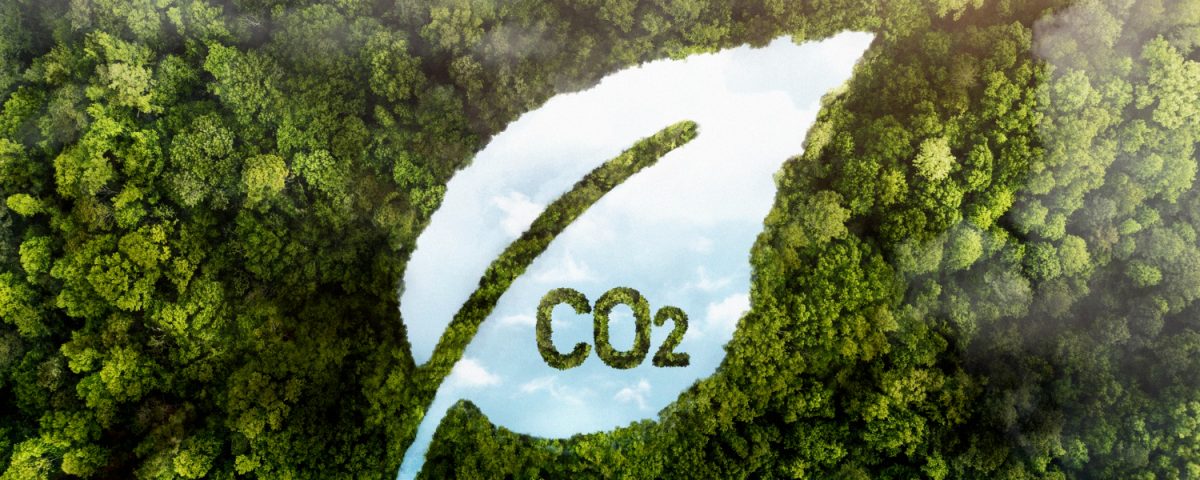 A imagem é uma referência ao termo "pegada de carbono" e mostra a representação de uma folha de árvore onde está escrito CO2, sobre uma floresta verde.