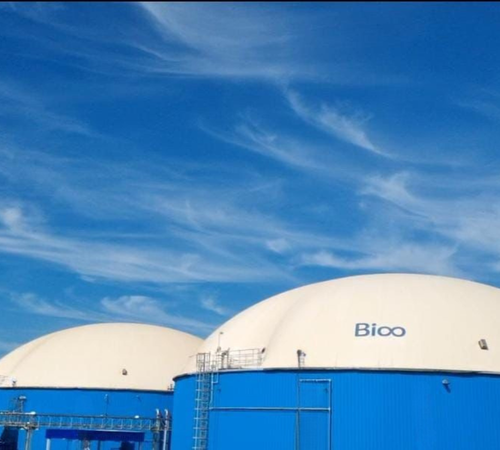 Imagem sem descrição