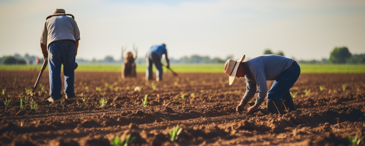6 práticas para promover uma agricultura sustentável