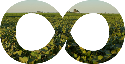 Imagem sem descrição