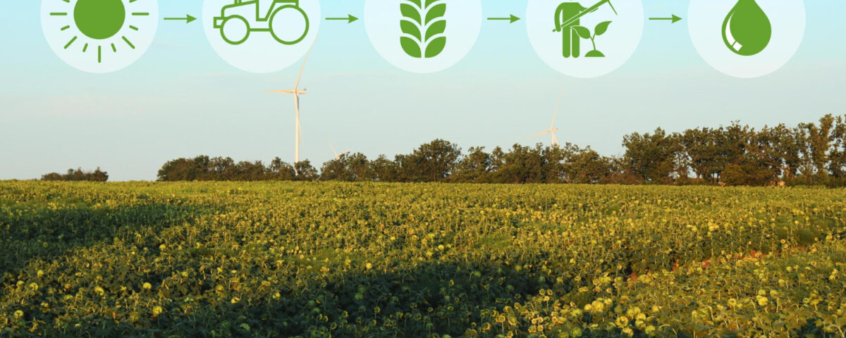 Agricultura regenerativa: como os fertilizantes orgânicos podem ajudar?