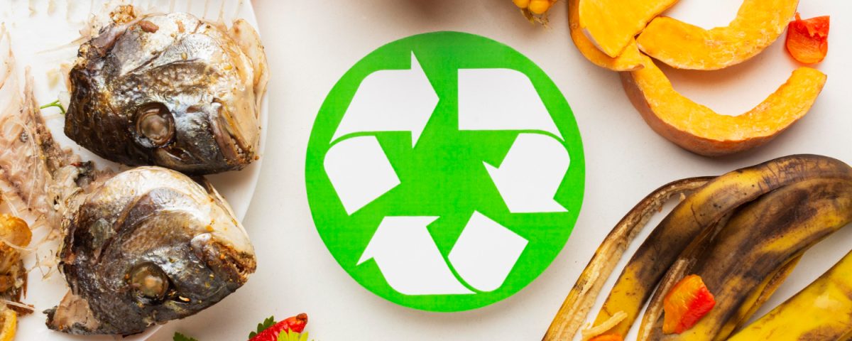 Qual a diferença do biogás de biodigestão e aterro sanitário