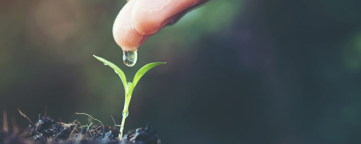 Bioinsumos: o que são e quais suas vantagens para a agricultura