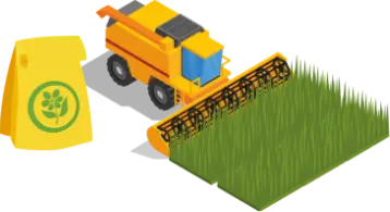 Imagem sem descrição