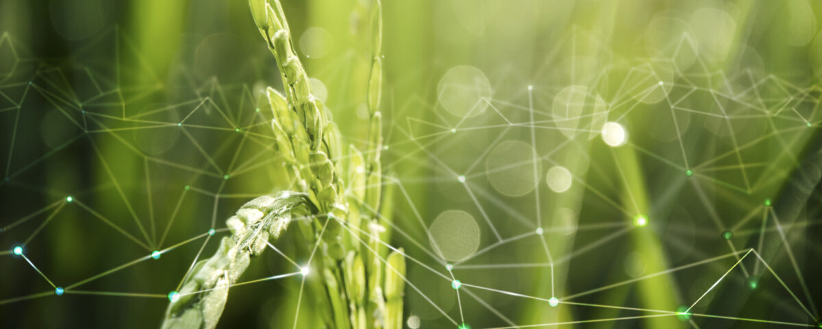 Como os fertilizantes biológicos estão moldando o futuro do agronegócio