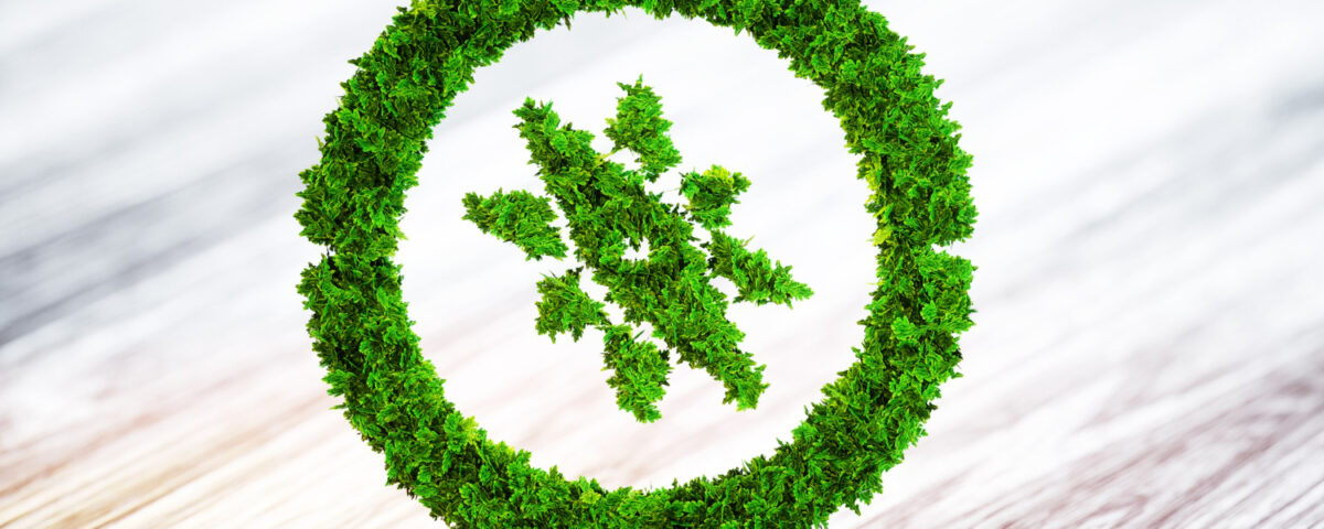 Neutralidade de carbono na indústria alimentícia: o papel dos bioprodutos no alcance das metas ambientais