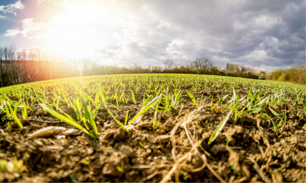 O impacto dos fertilizantes biológicos para o agricultor brasileiro